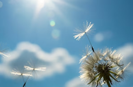 設(shè)立幫扶基金