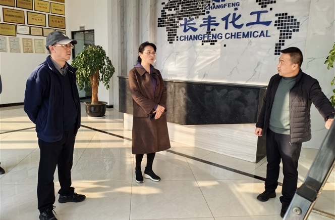 德陽政協(xié)環(huán)資專委會蒞臨我司進行重點課題調(diào)研指導