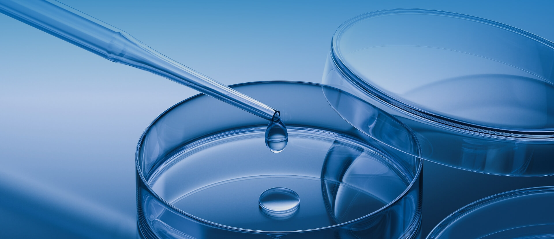 研發(fā)與創(chuàng)新